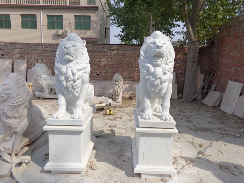 Characteristics of The Lion According to The Bible