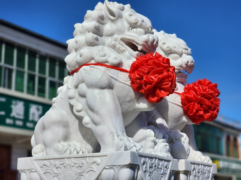 The Meaning of the Lion: