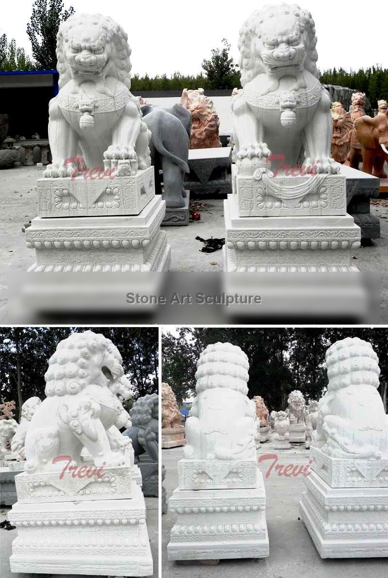 Buy Marble Chinese Foo Dog Pair of White Lion Statues for Driveway TMA-07 detail image