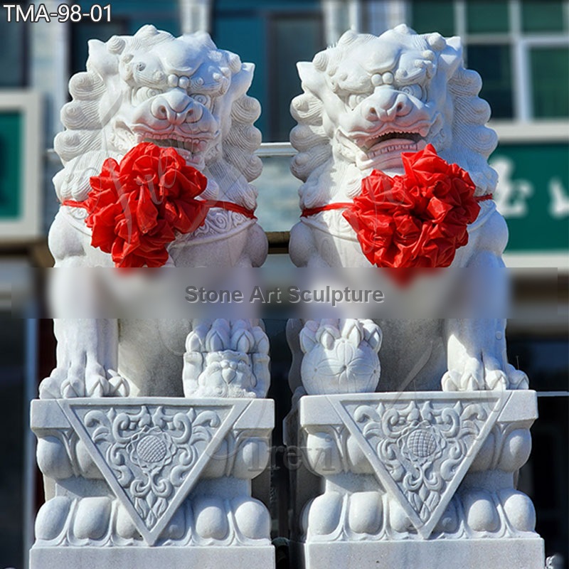 Forbidden City Guardian Lion Feng Shui Foo Dogs Placement for Home TMA-98 detail image