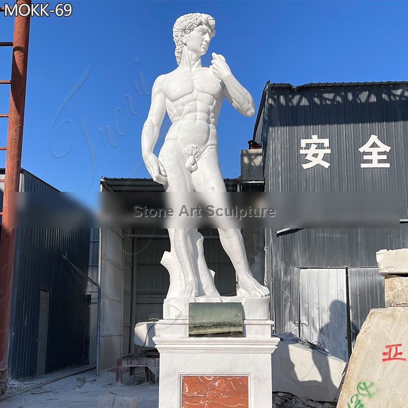 Garden Naked Statue Famous David Marble Statue for Sale MOKK-69 detail image