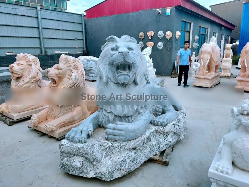 Outdoor Marble Lion Statue Zoo Decoration for Sale MOKK-706 detail image