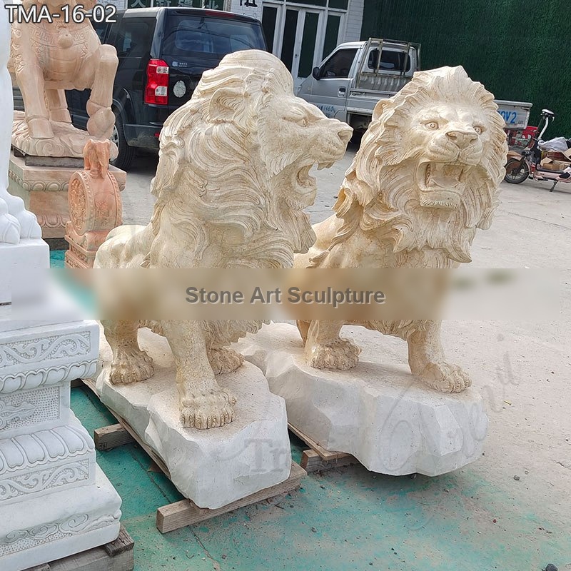Outdoor Marble Sitting Roaring Lion Statues for Sale TMA-16 detail image