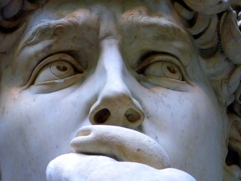 michelangelo buonarroti david 1501 04 galleria dell accademia florence detail23