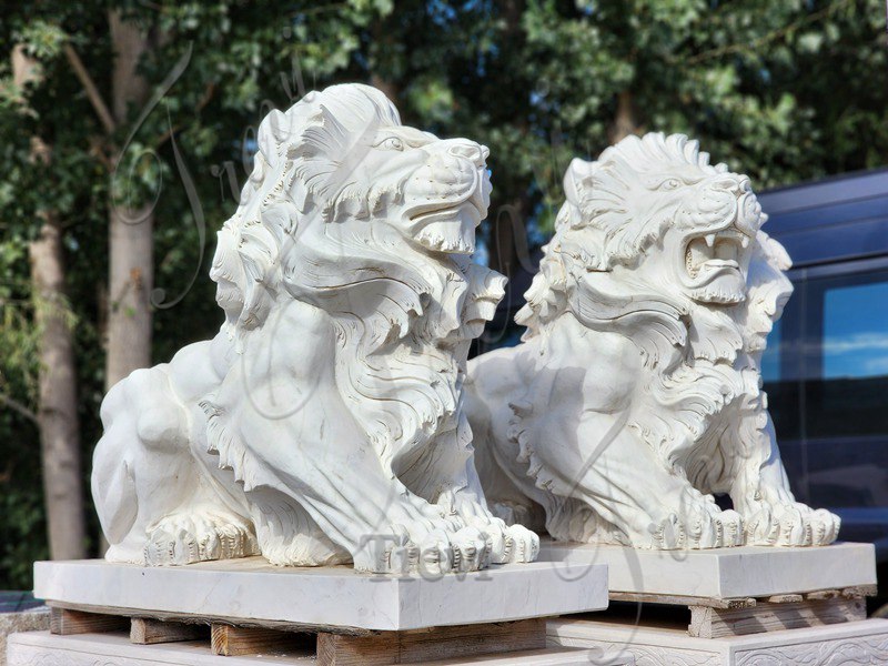 Characteristics of The Lion According to The Bible