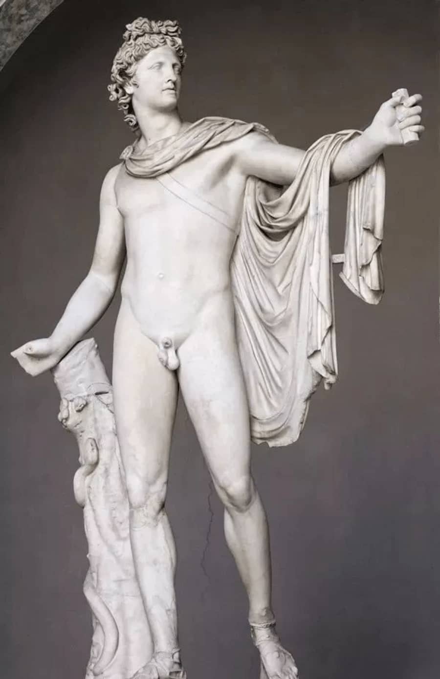 Apollo from the Belvedere-YouFine