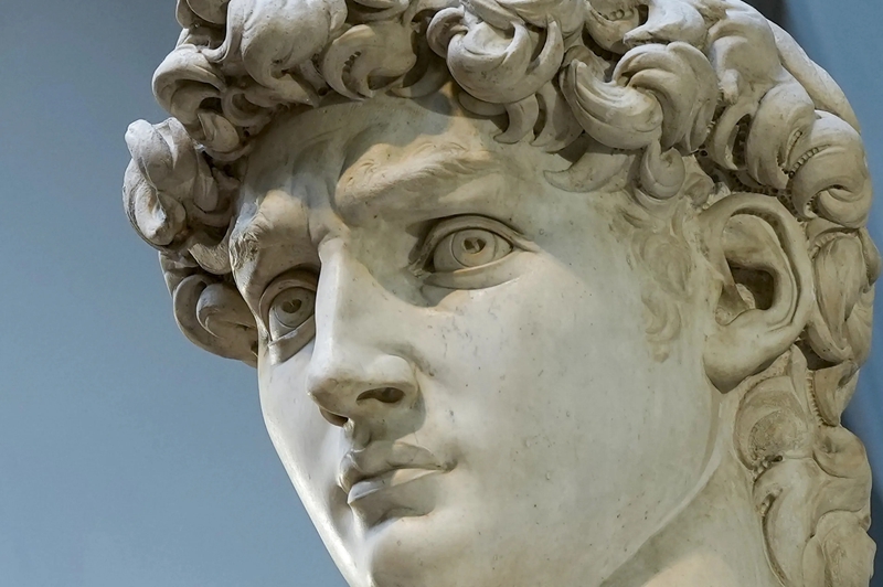 michelangelo buonarroti david 1501 04 galleria dell accademia florence detail24