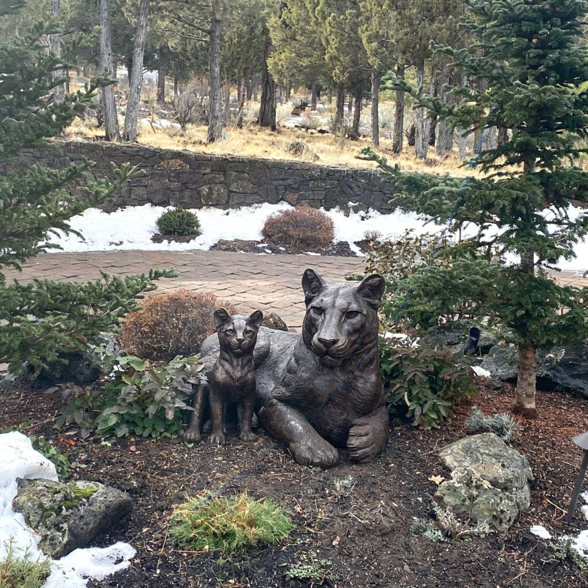 Cozy Mother and Cub Lion Statue for garden feedback