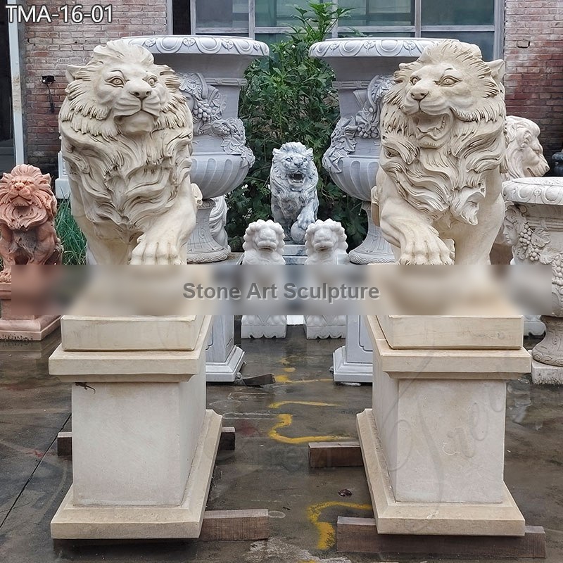 Outdoor Marble Sitting Roaring Lion Statues for Sale TMA-16 detail image