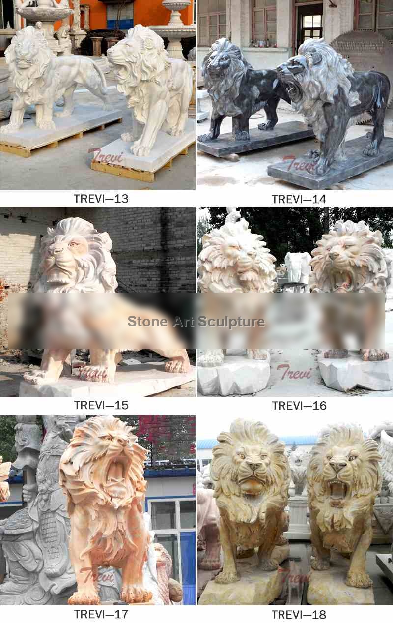 Buy Marble Chinese Foo Dog Pair of White Lion Statues for Driveway TMA-07 detail image
